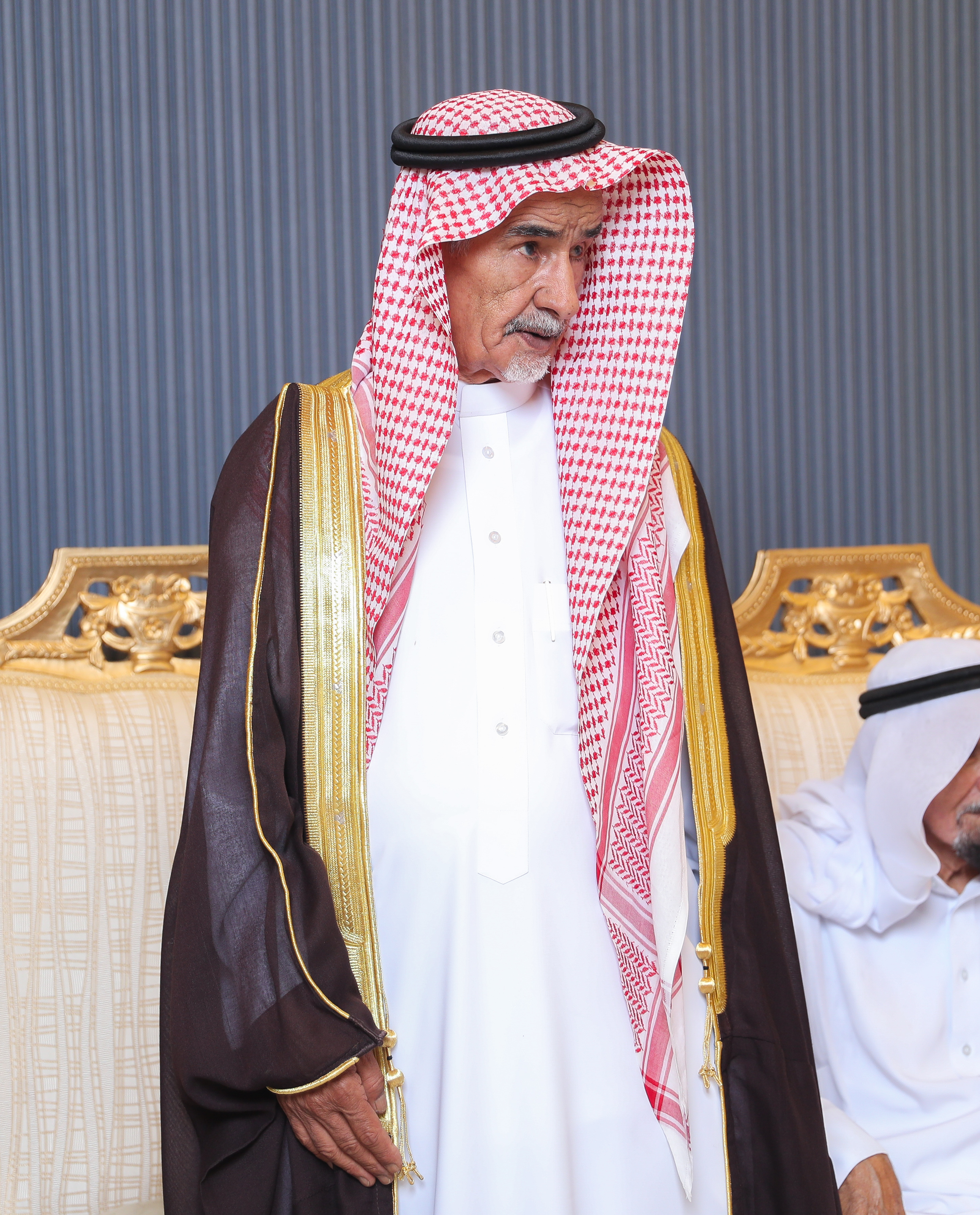 صورة 193 من زواج ( السبيعي & الدخيّل ) 